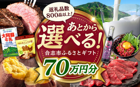 [あとから選べる!]合志市 ふるさとギフト 70万円分 [合志市役所][AYBZ017]