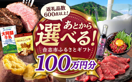 [あとから選べる!]合志市 ふるさとギフト 100万円分 [合志市役所][AYBZ018]