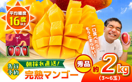 [2026年発送分 先行予約]秀品 菊池マンゴー約2kg(3〜6玉) L〜3Lサイズ アーウィンマンゴー [AYDF004]