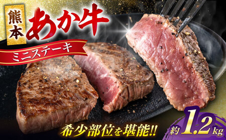 熊本あか牛 ミニステーキ約1.2kg（9〜10枚）[AYCB064]