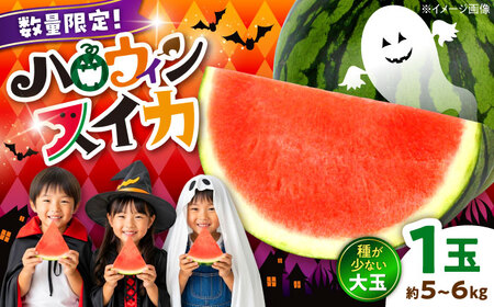 [先行予約] [数量限定] 熊本 ハロウィンすいか 1玉(約5〜6kg) 大玉 秋すいか スイカ 秋 ハロウィン[AYAB031]