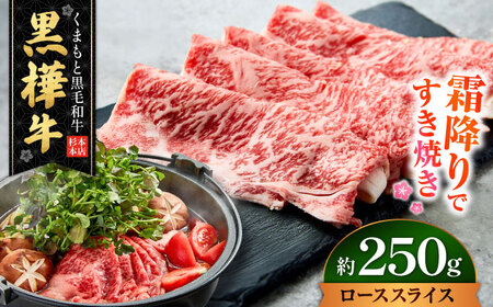 くまもと黒毛和牛 黒樺牛 A4〜A5等級 ローススライス すき焼き用 約250g 黒毛和牛 ローススライス[AYBJ002]