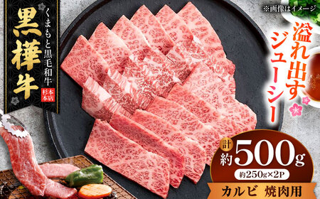 くまもと黒毛和牛 黒樺牛 A4〜A5等級 カルビ 焼肉用 約500g 黒毛和牛 カルビ焼肉[AYBJ032]