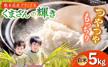 yߘa7Nxz ܂̋P  5kg (1) yTKC{iҕăNujz[AYDI001]