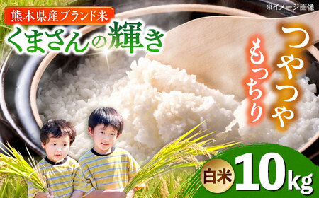 yߘa7Nxz ܂̋P  10kg (1) yTKC{iҕăNujz[AYDI002]