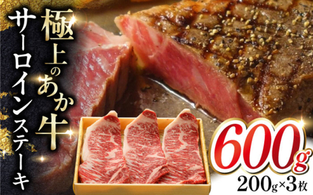 T[CXe[L 200g×3 yL O{Yz[AYCQ059]