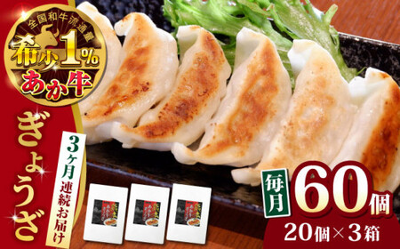[全3回定期便]熊本県産 あか牛 ぎょうざ 20個×3箱 ぎょうざ[AYCQ089]