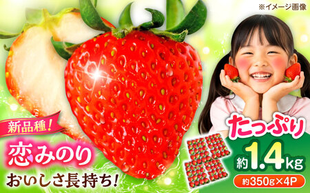 ys\z ݂̂ Sԉt@[ 1.4kgi350g×4Pj20/P LTCY yTʎY Ёz[AYBQ031]