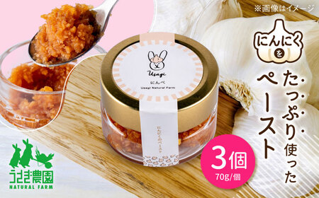 にんぺ にんにくのペースト 3個セット (70g×3個)【うさぎ農園】[AYDJ008]