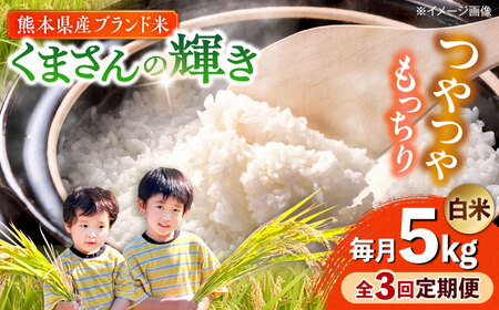 �y�S3�����ցz�y�ߘa7�N�x�z ���܂���̋P�� ���� 5kg (1��) �yTKC���{�i�ҕăN���u�������j�z[AYDI003]