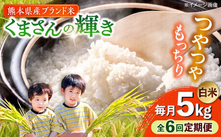 �y�S6�����ցz�y�ߘa7�N�x�z ���܂���̋P�� ���� 5kg (1��) �yTKC���{�i�ҕăN���u�������j�z[AYDI004]