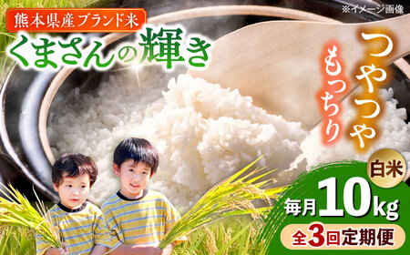 �y�S3�����ցz�y�ߘa7�N�x�z ���܂���̋P�� ���� 10kg (1��) �yTKC���{�i�ҕăN���u�������j�z[AYDI005]