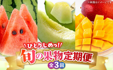 先行予約3回定期便 旬の果物ひとりじめ定期便A