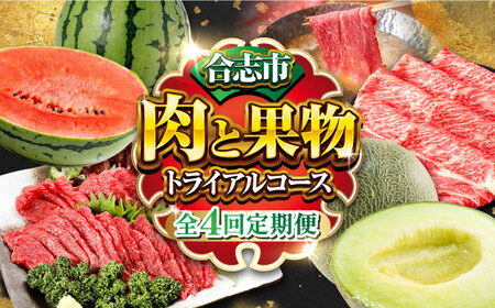 ys\zyS4ցzusƉʕ gCAR[X[AYZZ009]