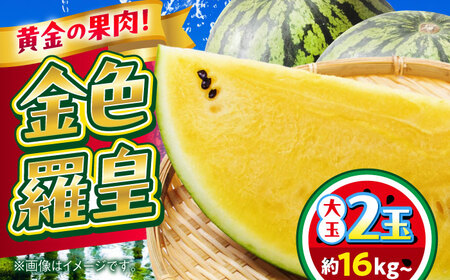 �y2026�N ��s�\��z�y���ʌ���z������ ���F���c 2�ʓ��� ��16kg�ȏ� ���F�� �X�C�J �Â��y���{�t���[�c������Ёz[AYDA011]