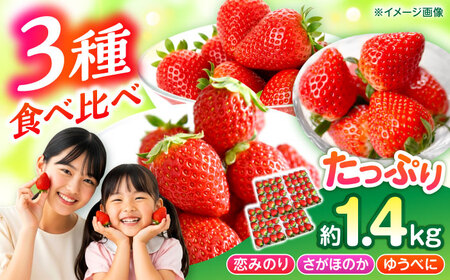 [先行予約]3品種いちごの食べ比べセット(恋みのり/さがほのか/ゆうべに)百花園ファーム 約1.4kg(約350g×4P)20粒/P Lサイズ [亀井通産 株式会社][AYBQ086]