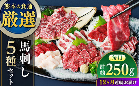 [全12回定期便]5種の馬刺し 盛り合わせセット 5人前 約250g[AYAT034]