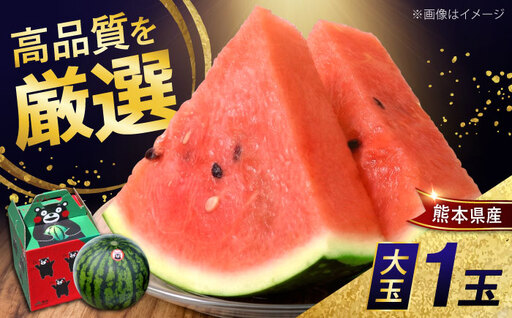 熊本県産 大玉 スイカ (1玉) 化粧箱入 約5〜6kg M,L階級 西瓜 すいか 春のだんらん[菊池地域農業協同組合][AYBR007]