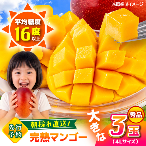 [2026年6月上旬から順次発送]菊池マンゴー3玉 4Lサイズ 青秀 友枝マンゴー農園[AYDF007]