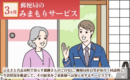 みまもり 訪問 サービス (3カ月)