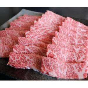 厳選されたGI認証 くまもとあか牛 特選焼肉用 500g(美里町)[配送不可地域:離島]