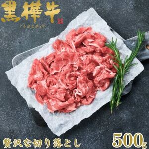 くまもと黒毛和牛 黒樺牛 A4〜A5等級 牛肉切り落とし 500g[杉本本店](美里町)_肉 黒毛和牛 牛肉 _[配送不可地域:離島]