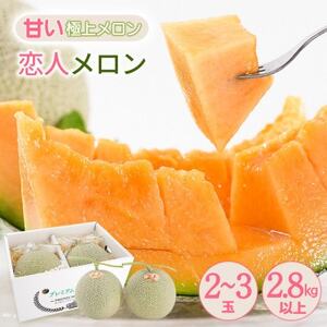 yԌ ʌzF{  ulv v2.8kg(2ʁ`3)yc_zy1680908z
