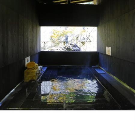 山峡(sankyo)プラン 大人2名 1泊2食付き