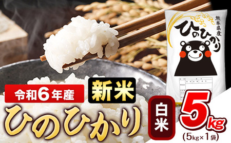 令和6年産新米 早期先行予約受付中 白米 ひのひかり 5kg[11月-12月より出荷予定]令和6年産 熊本県産 ふるさと納税 白米 精米