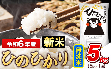 令和6年産新米 早期先行予約受付中 無洗米 ひのひかり 5kg[11月-12月より出荷予定]令和6年産 熊本県産 無洗米 精米 ひの 米 こめ コメ 米 白米 もあります! 白米 高レビュー 熊本県産 精米 ひの こめ ふるさとのうぜい ヒノヒカリ コメ お米 お