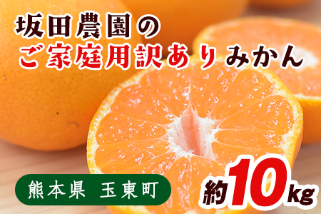 訳あり みかん ご家庭用 『坂田農園』のご家庭用みかん 大容量 約10kg(2S-2Lサイズ)[10月上旬-1月末頃出荷]熊本県玉東町産限定 予約受付中 フルーツ 秋 旬 玉東町70年のベテラン!濃厚な食味とジューシーな果汁 熊本県玉東町