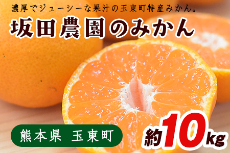『坂田農園』のみかん 大容量 約10kg(2S-Lサイズ)[10月上旬-1月末頃出荷]熊本県玉東町産限定 予約受付中 フルーツ 秋 旬 ジャム ゼリー 玉東町70年のベテラン!濃厚な食味とジューシーな果汁 熊本県玉東町