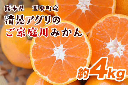 [ご家庭用]『清晃アグリ』のご家庭用みかん★約4kg(2S-2Lサイズ)[11月中旬-12月末頃出荷]予約受付中 フルーツ 秋 旬★熊本県玉名郡玉東町 健康な土で育つジューシーおいしいみかん!ちょこっと訳あり