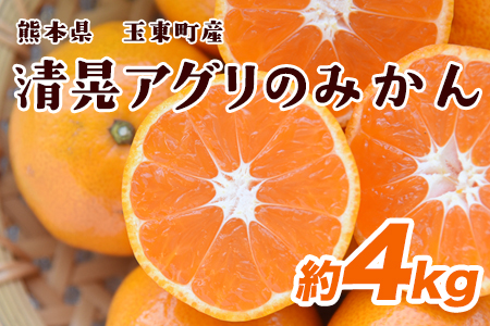 『清晃アグリ』のみかん★約4kg(2S-2Lサイズ) [11月中旬-12月末頃出荷]予約受付中 フルーツ 秋 旬★熊本県玉名郡玉東町 健康な土で育つジューシーおいしいみかん!