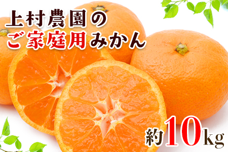 『上村農園』のご家庭用外成りみかん 約10kg(2S-2Lサイズ)[12月上旬-12月末頃出荷]予約受付中 フルーツ 秋 旬[ご家庭用]熊本県玉名郡玉東町 こだわりの手作り肥料で育つ安心・安全『上村農園』みかん ちょこっと訳あり