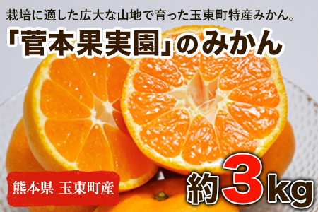 『菅本果実園』のみかん★約3kg(2S-Lサイズ)[10月中旬-12月末頃出荷] 予約受付中 フルーツ 秋 旬★熊本県玉名郡玉東町 全国にファン多数!エコファーマー菅本さんのみかん『菅本果実園』