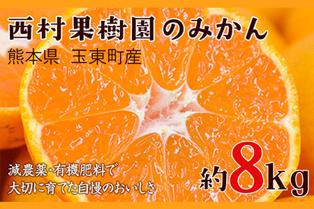 『西村果樹園』のみかん★約8kg(2S-2Lサイズ)[10月上旬-1月下旬頃出荷] 予約受付中 フルーツ 秋 旬★熊本県玉名郡玉東町 みかん 減農薬・有機肥料で育てた自慢のおいしさ!