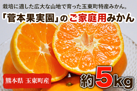 ご家庭用『菅本果実園』のご家庭用みかん★約5kg(2S-2Lサイズ)[11月下旬-12月末頃出荷] 予約受付中 フルーツ 秋 旬★熊本県玉名郡玉東町 全国にファン多数!エコファーマー菅本さんのみかん♪『菅本果実園』ちょこっと訳あり