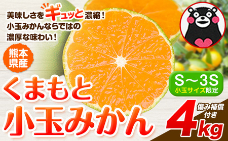 訳あり みかん 小玉みかん くまもと小玉みかん 4kg 秋 旬 不揃い 傷 ご家庭用 SDGs 小玉 たっぷり 熊本県 産 S-3Sサイズ [7-14日以内に出荷予定(土日祝除く)]