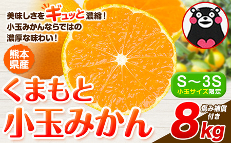 最短7日発送！ 訳あり みかん 小玉みかん くまもと小玉みかん  8kg 秋 旬 不揃い 傷 ご家庭用 SDGs 小玉 たっぷり 熊本県 産 S-3Sサイズ フルーツ 旬 柑橘 熊本県産 温州みかん《7-14日以内に出荷予定(土日祝除く)》 早く届く