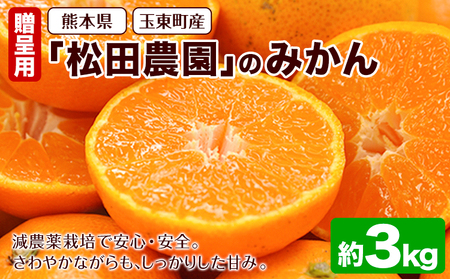 『松田農園』のみかん たっぷり 約3kg(S-2Lサイズ) フルーツ 秋 旬 熊本県 玉名郡 玉東町 松田農園 手間暇かけたこだわりのミカン[日付指定不可][11月上旬-12月下旬頃出荷]