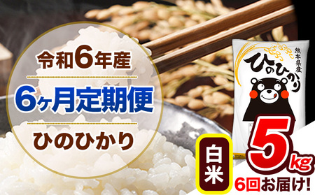 [6ヶ月定期便]令和6年産 定期便 ひのひかり白米 5kg [申込み翌月から発送]|人気米 熊本県産米 お米 生活応援米