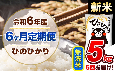 [6ヶ月定期便]令和6年産 新米 定期便 無洗米 ひのひかり 5kg [申込み翌月から発送]令和6年産 熊本県産|人気米 熊本県産米 お米 生活応援米