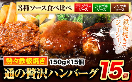 ハンバーグ 15個 国産のお肉使用！ 鶏肉不使用 温めるだけ 「通の贅沢ハンバーグ」3種ソース食べ比べ《3月上旬-3月末頃出荷》 牛 訳あり 小分け 早く届く