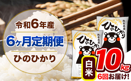 【6ヶ月定期便】令和6年産 定期便 ひのひかり白米 10kg 《申込み翌月から発送》 ｜人気米 熊本県産米 お米 生活応援米