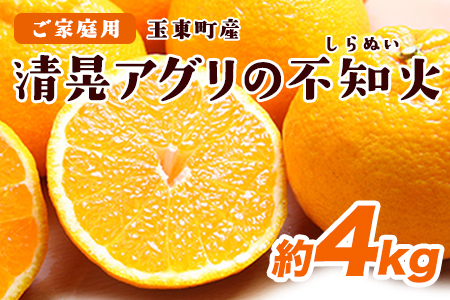 『清晃アグリ』のご家庭用不知火(しらぬい)約4kg(L-4Lサイズ)10玉-16玉前後[2024年2月上旬-3月下旬頃出荷] 予約受付中 フルーツ 旬★デコポンと同品種★熊本県玉名郡玉東町『清晃アグリ』不知火 ちょこっと訳あり