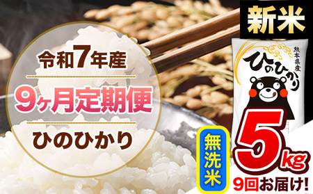 �y9��������ցz�V�� �ߘa7�N�Y ������ ����� �Ђ̂Ђ��� 5kg �s���\���ݗ�������o�ׁt �F�{���Y �ӂ邳�Ɣ[�� ���� �Ђ� �� ���� �ӂ邳�Ƃ̂����� �q�m�q�J�� �R�� �F�{�� �Ђ̂���