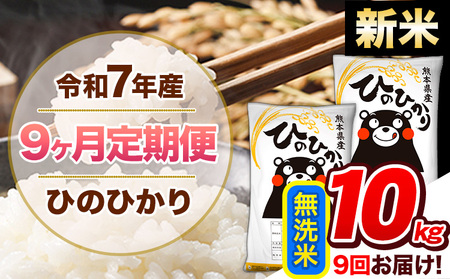 �y9��������ցz�V�� �ߘa7�N�Y ������ ����� �Ђ̂Ђ��� 10kg �s���\���ݗ�������o�ׁt �F�{���Y �ӂ邳�Ɣ[�� ���� �Ђ� �� ���� �ӂ邳�Ƃ̂����� �q�m�q�J�� �R�� �F�{�� �Ђ̂���