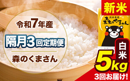 yu3ցzV ߘa7NY   X̂܂ 5kg s\ݗoׁt F{Y Pꌴ X F{ ʓ