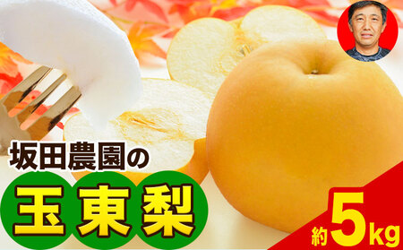 『坂田農園』の玉東梨 期間限定 予約受付中 約5kg《8月中旬-9月末頃出荷》 熊本県玉名郡玉東町産『坂田農園』｜ブランド梨 人気梨 特産品梨 熊本県梨 玉東町梨 大人気返礼品